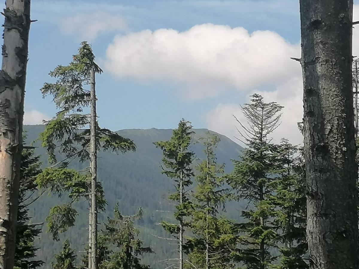 Appartamento Zakatek Dorimaks Zawoja Esterno foto