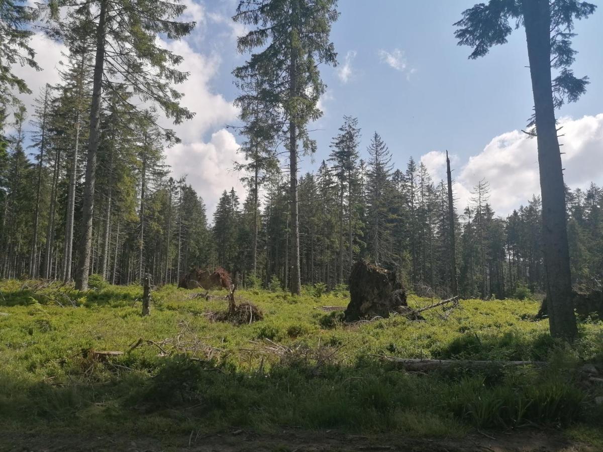 Appartamento Zakatek Dorimaks Zawoja Esterno foto