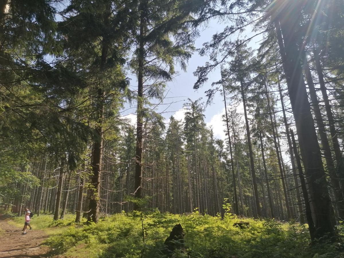 Appartamento Zakatek Dorimaks Zawoja Esterno foto