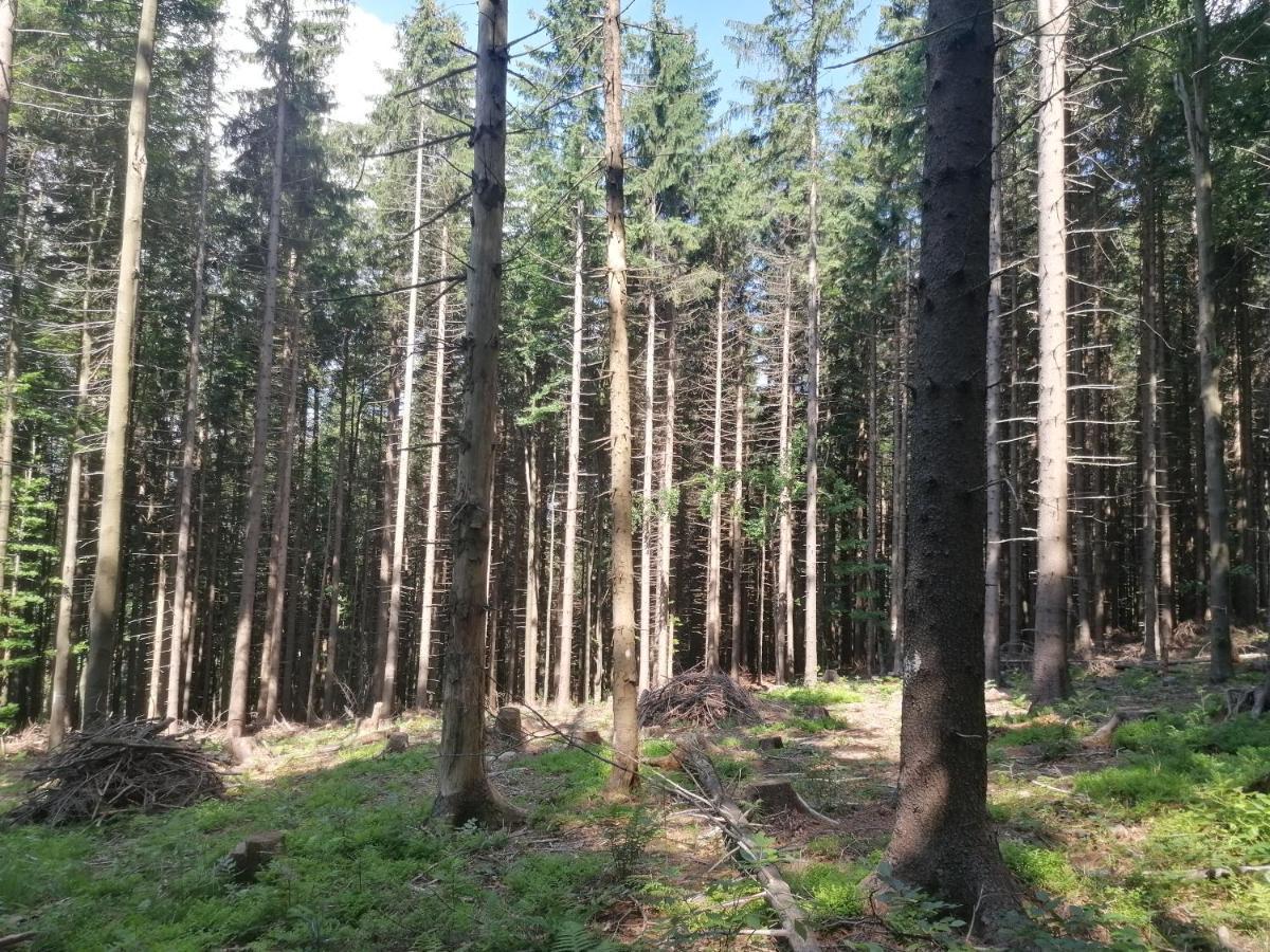 Appartamento Zakatek Dorimaks Zawoja Esterno foto