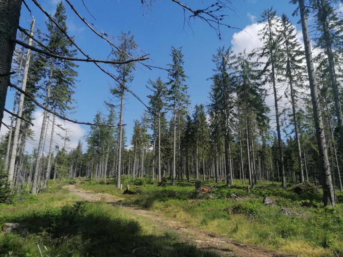 Appartamento Zakatek Dorimaks Zawoja Esterno foto